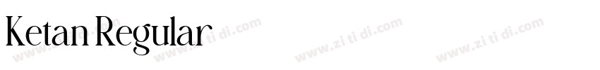 Ketan Regular字体转换